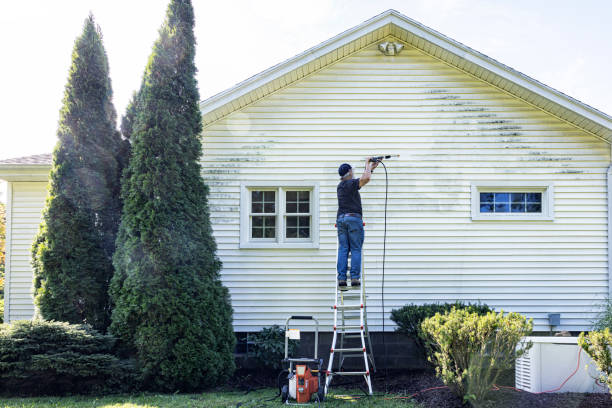 Best Affordable Power Washing  in Franklin, TX